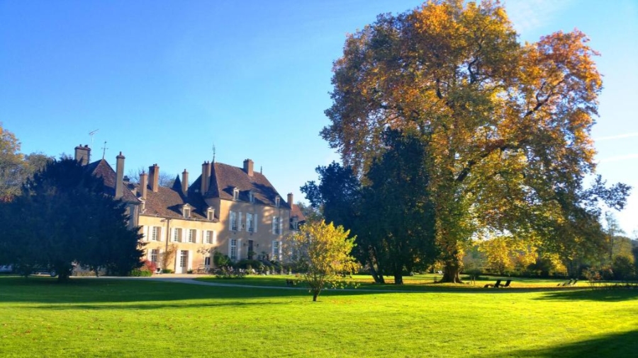 The Château de Vault-de-Lugny, a grand mansion, set against a backdrop of trees and a lush green lawn